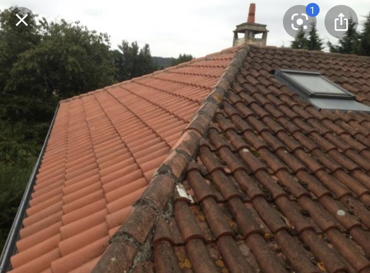 Démoussage et nettoyage toitures artisan couvreur deloriere à Le Loroux Botteraux 44430