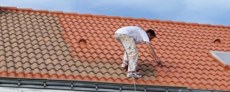 Nantes 44000 démoussage nettoyage de toiture couvreur deloriere