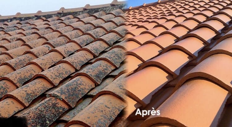 Saint Luce sur Loire 44980 Nettoyage démoussage toiture couvreur deloriere