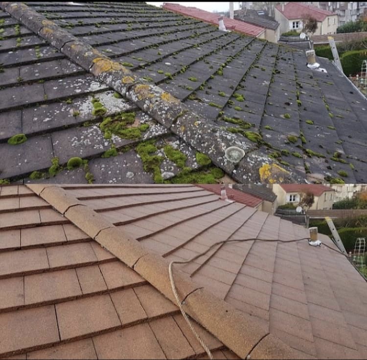 Nantes 44300 Nettoyage démoussage toiture couvreur deloriere